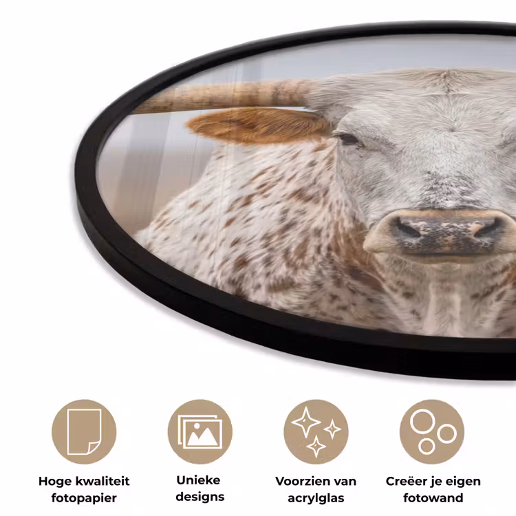 Longhorn - Grasveld - Dier Fotolijst rond zonder passe partout klein -closeup_NL