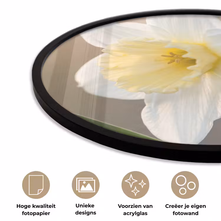 Narcis - Bloem - Minimalistisch Fotolijst rond zonder passe partout klein -closeup_NL