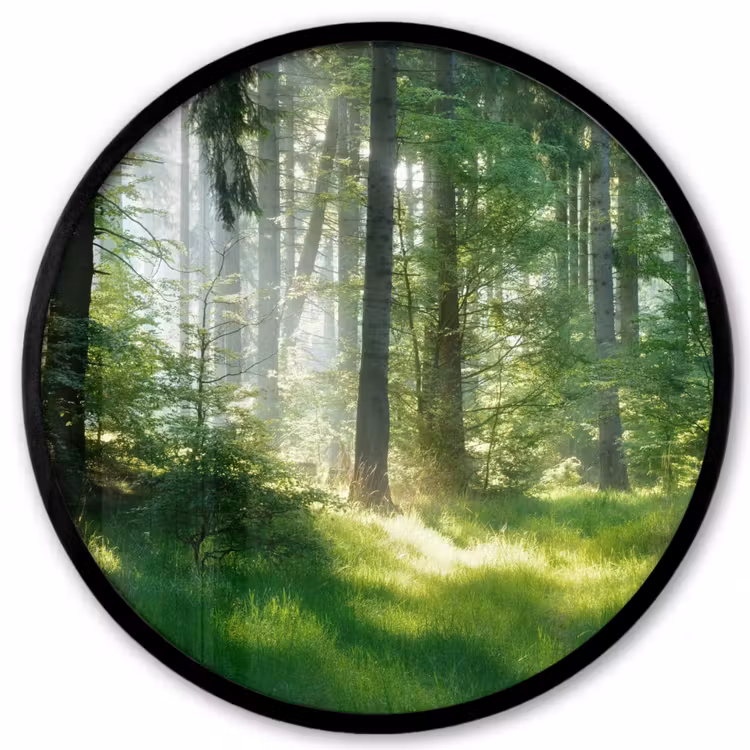 Natuur - Bomen - Bos - Groen - Zon - Gras - Planten Fotolijst rond zonder passe partout klein -3d