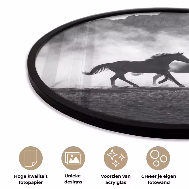 Paard - Ren - Stof - Zwart-wit - Dieren Fotolijst rond zonder passe partout klein -closeup_NL