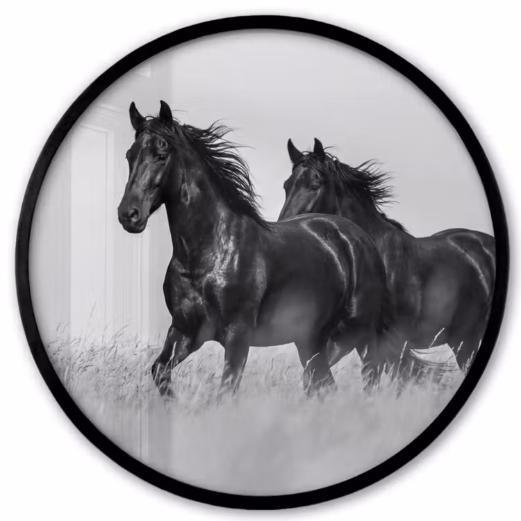 Paarden - Gras - Zwart - Wit Fotolijst rond zonder passe partout klein -3d
