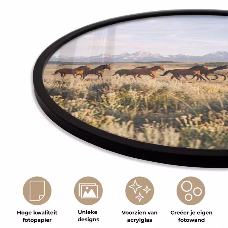Paarden - Kudde - Bergen - Vrijheid - Wild Fotolijst rond zonder passe partout klein -closeup_NL