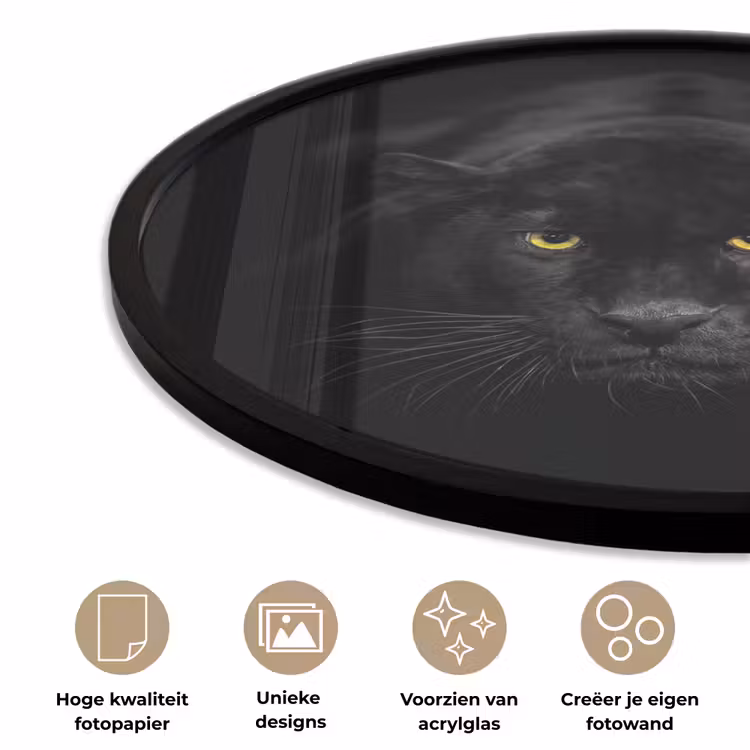 Panter - Dieren - Zwart - Ogen Fotolijst rond zonder passe partout klein -closeup_NL