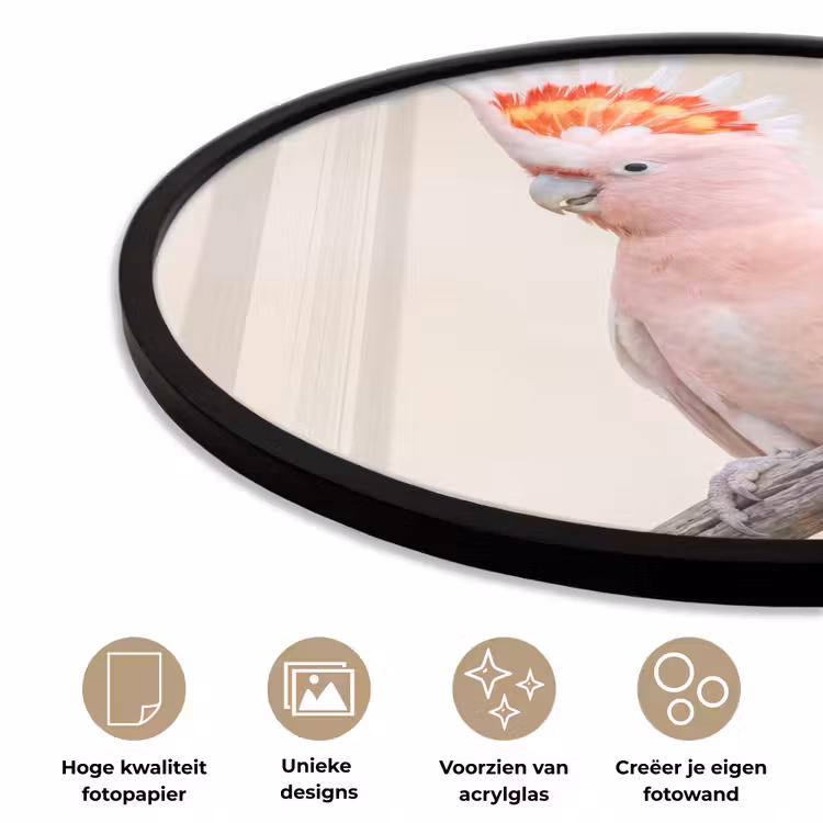 Papagaai - Tak - Roze Fotolijst rond zonder passe partout klein -closeup_NL