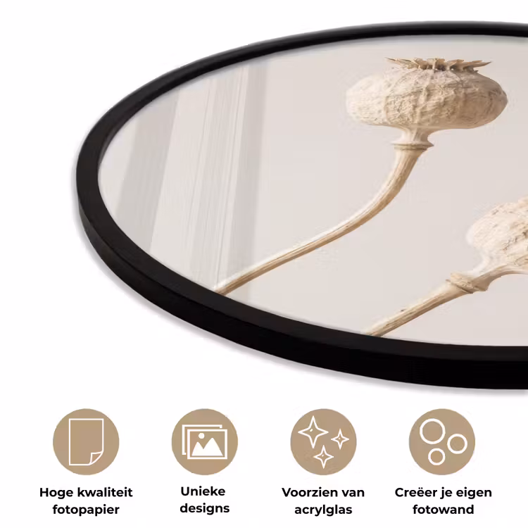 Papaverbollen - Droogbloemen - Minimalistisch - Beige - Rustig Fotolijst rond zonder passe partout klein -closeup_NL