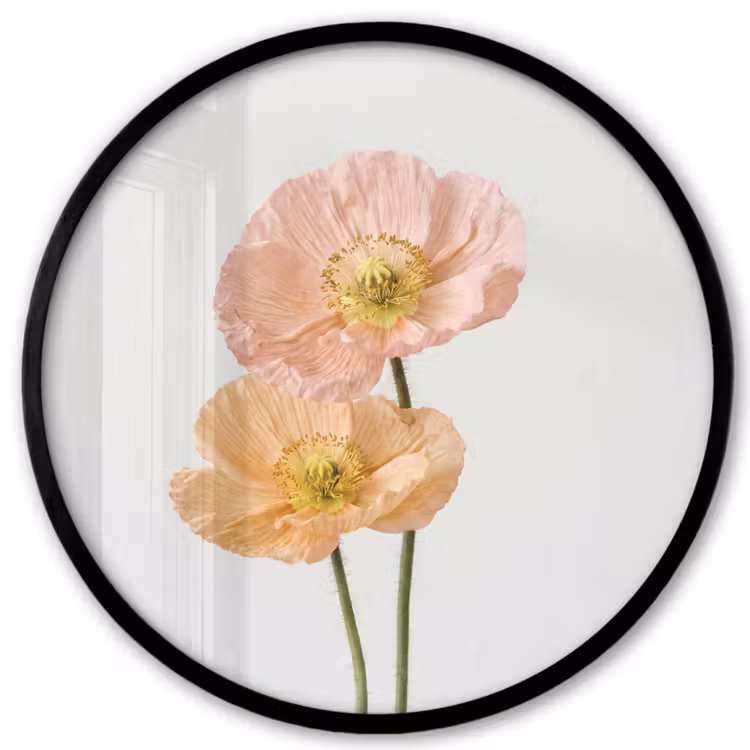Papavers - Botanisch - Roze Fotolijst rond zonder passe partout klein -3d