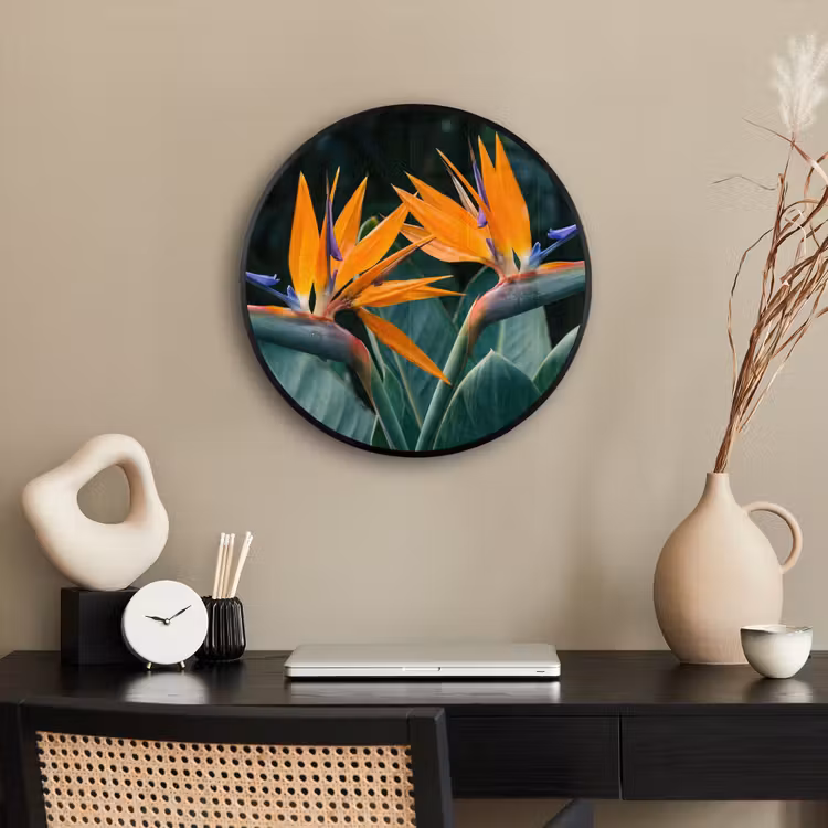 Paradijsvogel - Bloem - Exotisch Fotolijst rond zonder passe partout klein -sfeer1