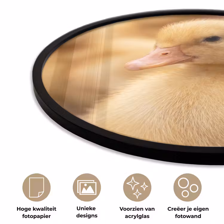 Pijltje - Eend - Natuur - Geel Fotolijst rond zonder passe partout klein -closeup_NL