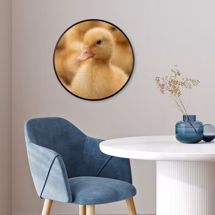 Pijltje - Eend - Natuur - Geel Fotolijst rond zonder passe partout klein -sfeer2