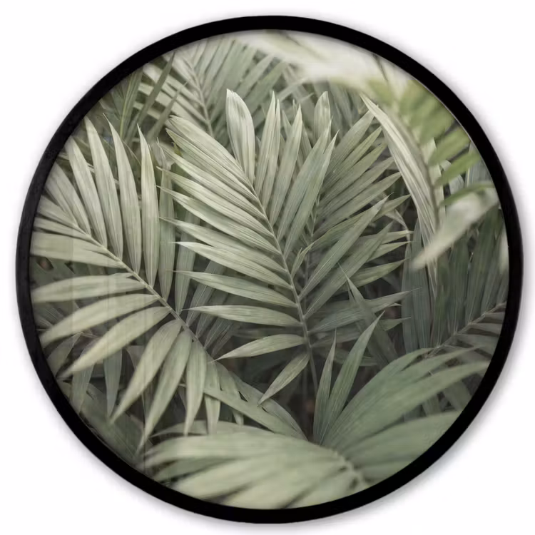Plant - Palmbladeren - Natuur - Groen Fotolijst rond zonder passe partout klein -3d