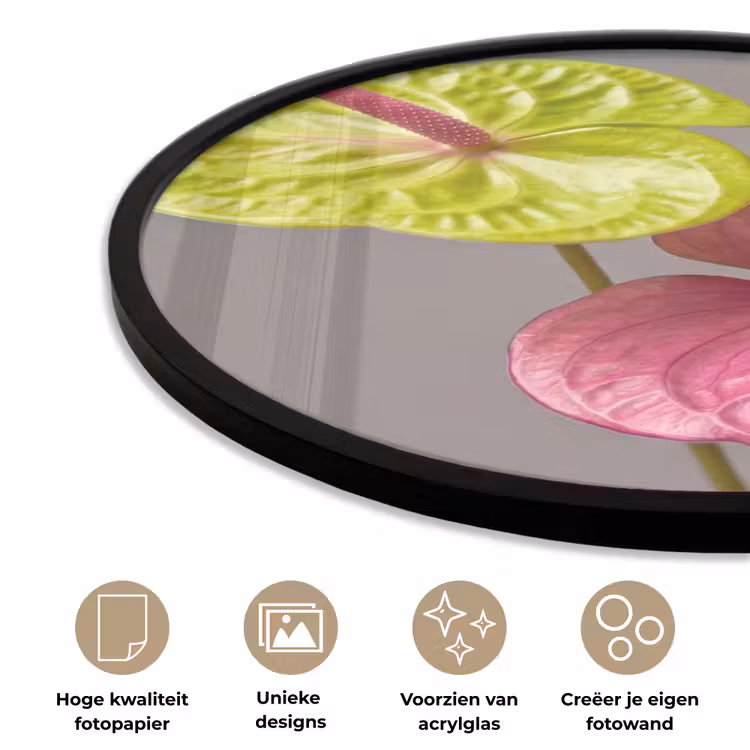 Planten - Anthurium - Groen - Roze Fotolijst rond zonder passe partout klein -closeup_NL