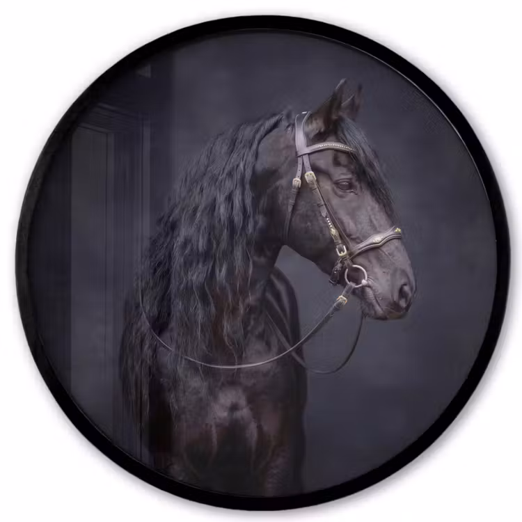 Portret - Paard - Donker Fotolijst rond zonder passe partout klein -3d
