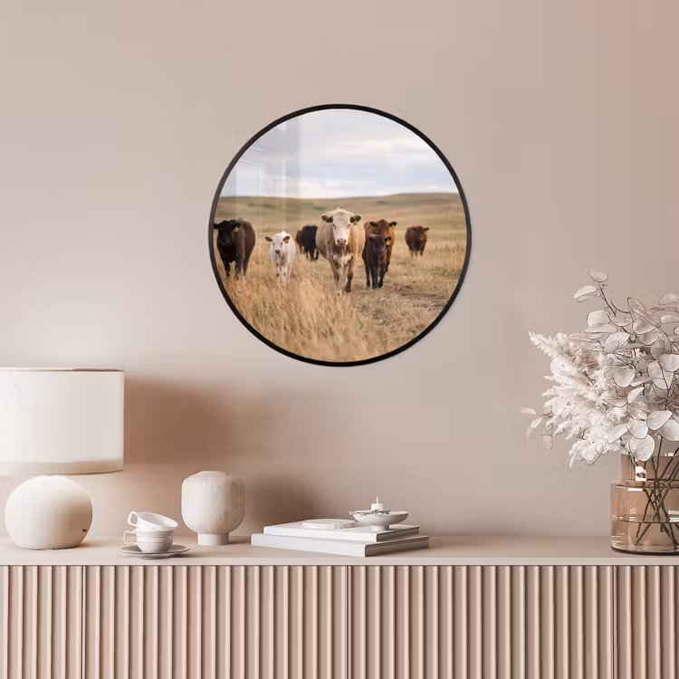 Runderen - Kudde - Landschap - Weide - Rustig Fotolijst rond zonder passe partout klein -sfeer3