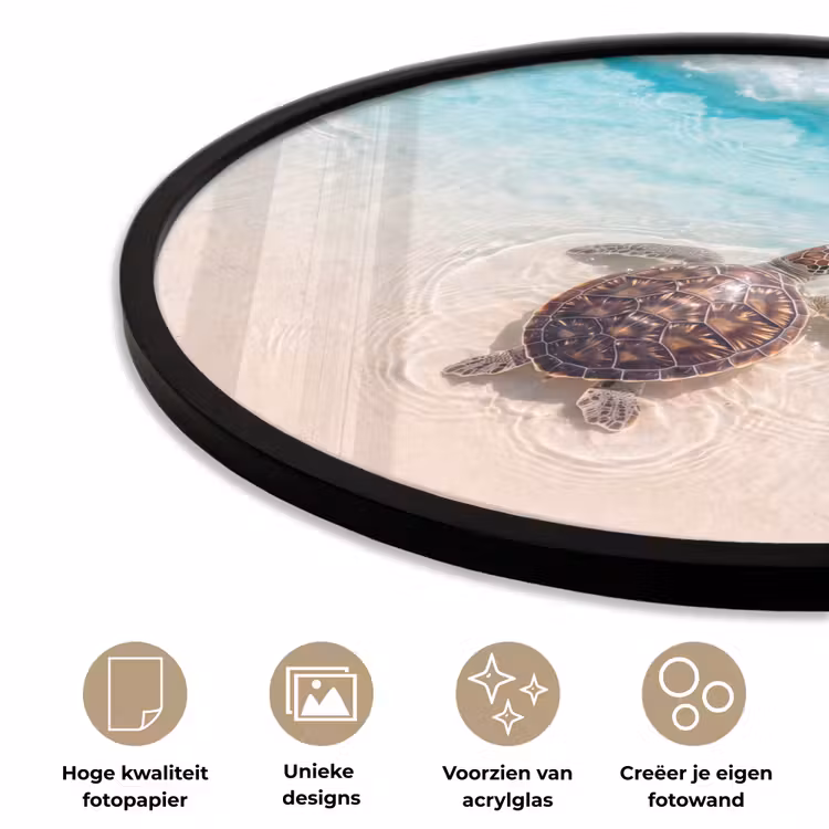 Schildpad - Helder water - Strand - Dieren - Natuur Fotolijst rond zonder passe partout klein -closeup_NL