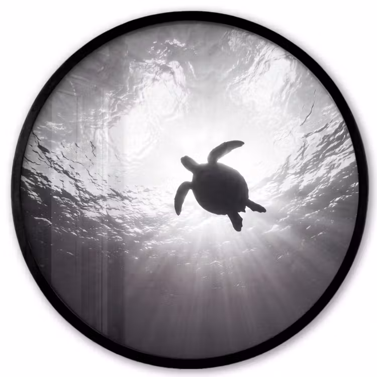 Schildpad - Onderwater - Lichtstralen - Oceaan - Zwart-wit Fotolijst rond zonder passe partout klein -3d