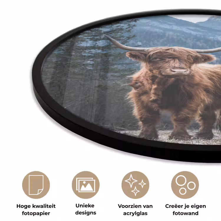Schotse hooglander - Berg - Landschap - Bomen - Koe - Natuur Fotolijst rond zonder passe partout klein -closeup_NL