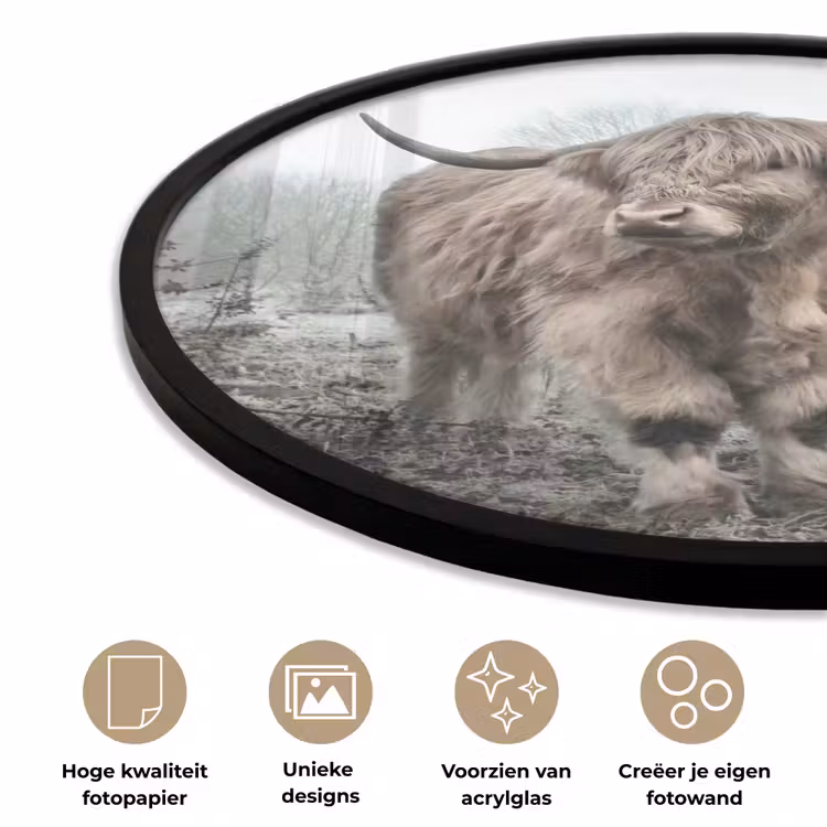 Schotse Hooglander - Bos - Mist - Koe - Dieren - Natuur Fotolijst rond zonder passe partout klein -closeup_NL