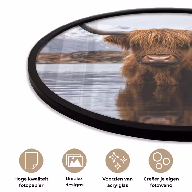Schotse hooglander - Bruin - Water Fotolijst rond zonder passe partout klein -closeup_NL