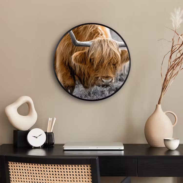 Schotse Hooglander - Dieren - Bruin - Koe - Zwart - Wit - Natuur Fotolijst rond zonder passe partout klein -sfeer1