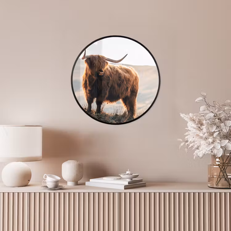 Schotse hooglander - Dieren - Landelijk - Landschap - Koe - Natuur Fotolijst rond zonder passe partout klein -sfeer3