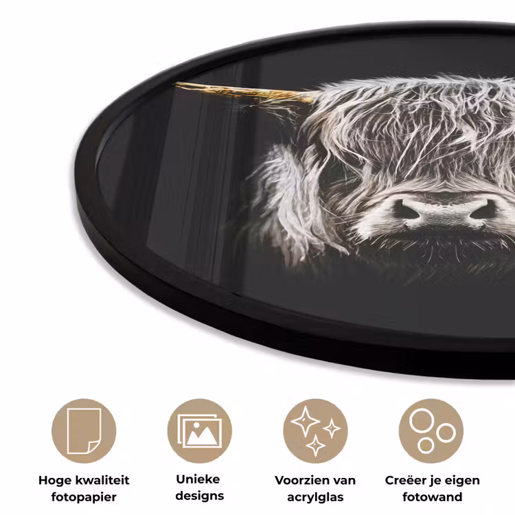 Schotse hooglander - Goud - Hoorns - Zwart wit - Koe - Dieren Fotolijst rond zonder passe partout klein -closeup_NL