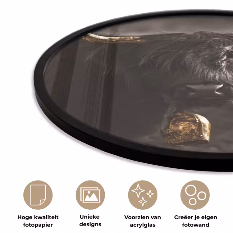 Schotse hooglander - Goud - Koebel - Hoorns - Dieren Fotolijst rond zonder passe partout klein -closeup_NL