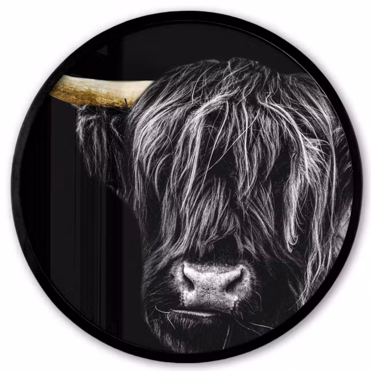 Schotse hooglander - Goud - Vacht - Dieren - Koe Fotolijst rond zonder passe partout klein -3d
