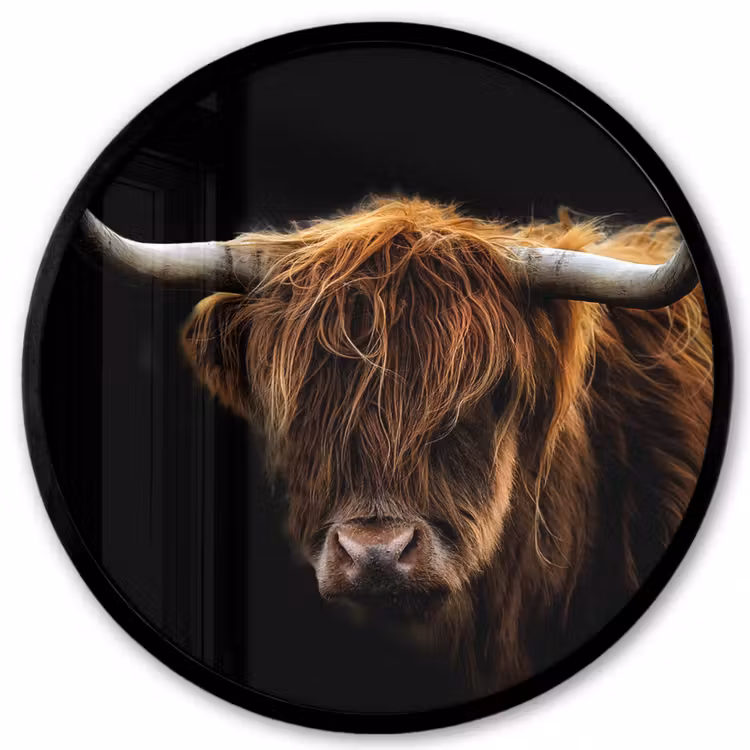 Schotse Hooglander - Horens - Zwart - Dieren - Natuur - Wild - Koe Fotolijst rond zonder passe partout klein -3d