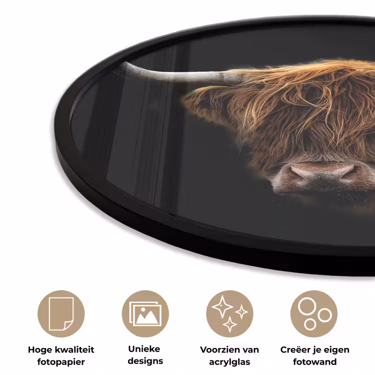Schotse Hooglander - Horens - Zwart - Dieren - Natuur - Wild - Koe Fotolijst rond zonder passe partout klein -closeup_NL