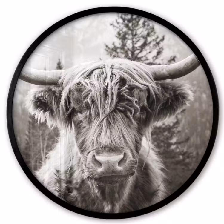 Schotse hooglander - Koe - Dieren - Zwart - Wit Fotolijst rond zonder passe partout klein -3d