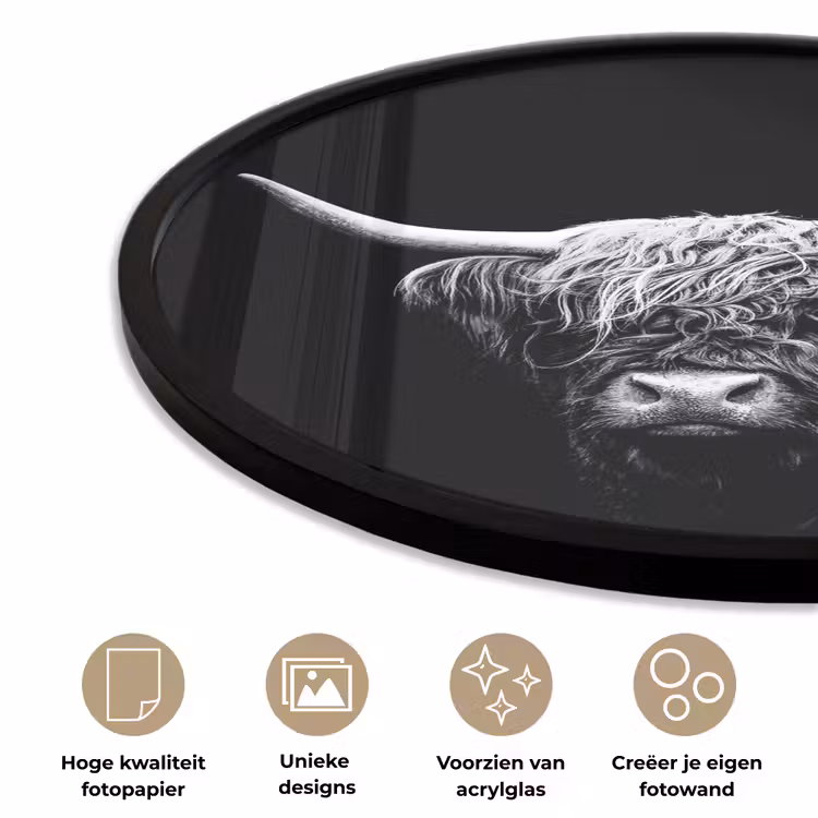 Schotse Hooglander - Koe - Zwart - Wit - Dieren Fotolijst rond zonder passe partout klein -closeup_NL
