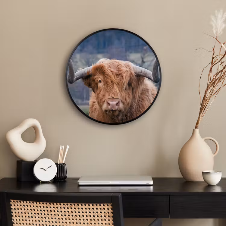 Schotse Hooglander - Koeienkop - Landschap - Natuur - Koe Fotolijst rond zonder passe partout klein -sfeer1