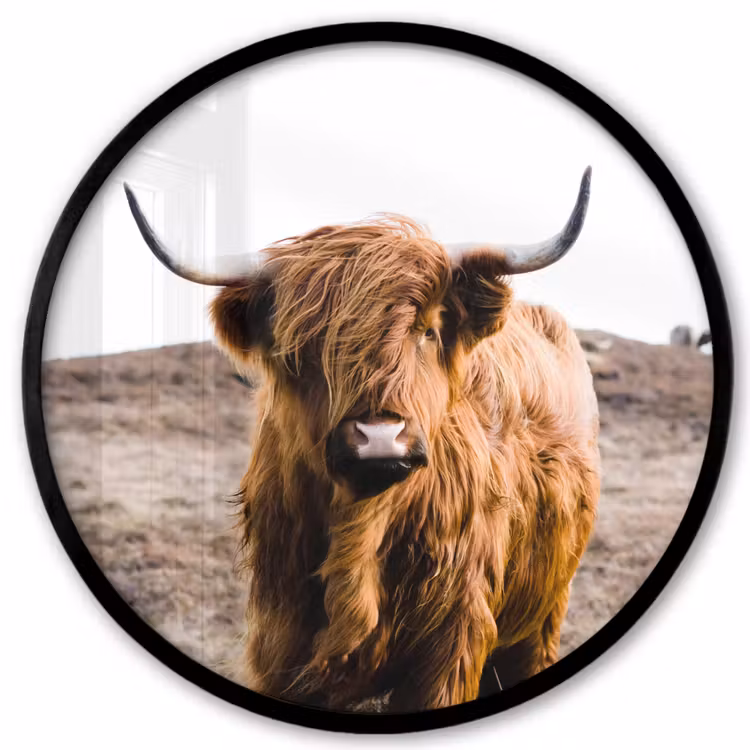 Schotse hooglander - Landschap - Koe - Bruin - Dieren - Natuur Fotolijst rond zonder passe partout klein -3d