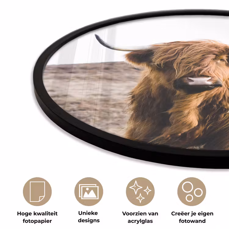 Schotse hooglander - Landschap - Koe - Bruin - Dieren - Natuur Fotolijst rond zonder passe partout klein -closeup_NL