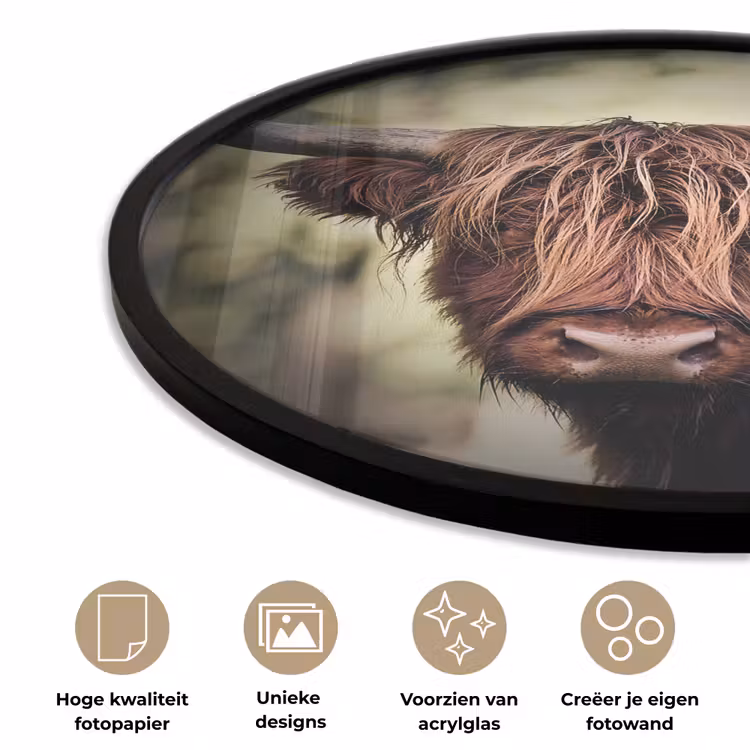 Schotse hooglander - Licht - Portret - Natuur Fotolijst rond zonder passe partout klein -closeup_NL