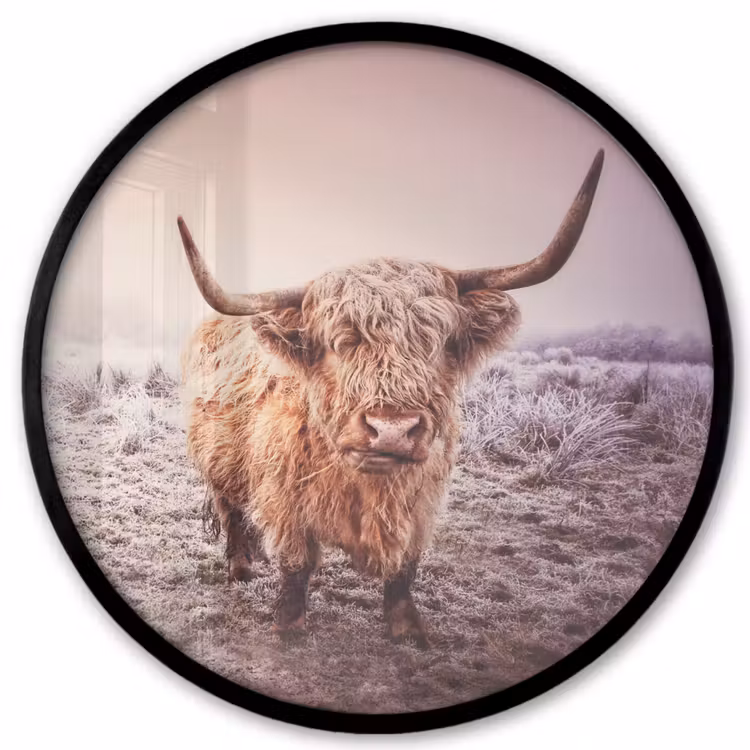 Schotse hooglanders - Licht - Lucht - Natuur Fotolijst rond zonder passe partout klein -3d