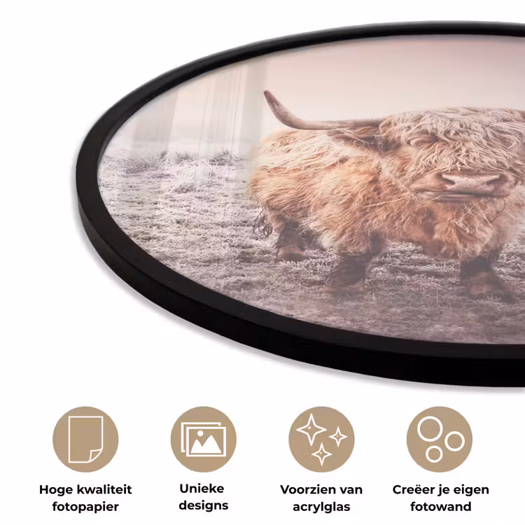 Schotse hooglanders - Licht - Lucht - Natuur Fotolijst rond zonder passe partout klein -closeup_NL