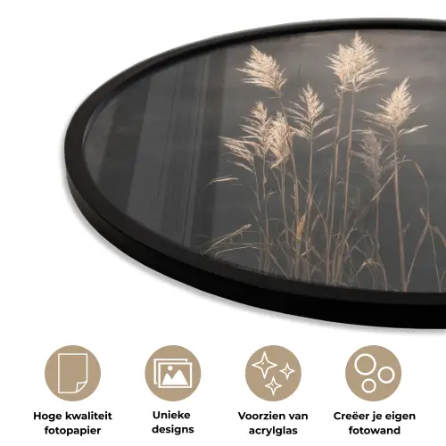 Siergras - Pluimen - Verlichting - Zwart Fotolijst rond zonder passe partout klein -closeup_NL