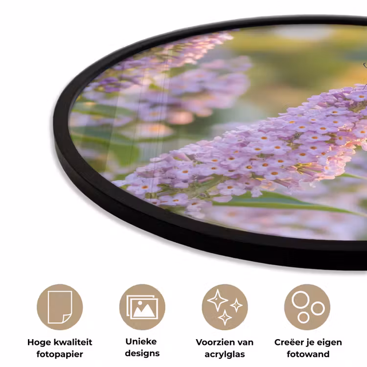 Sierlijke - Vlinder - Paarse - Bloemen Fotolijst rond zonder passe partout klein -closeup_NL