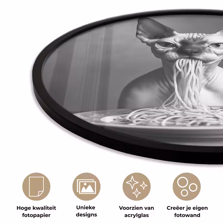 Sphynx - Kat - Dieren - Humor - Spaghetti - Zwart Wit Fotolijst rond zonder passe partout klein -closeup_NL