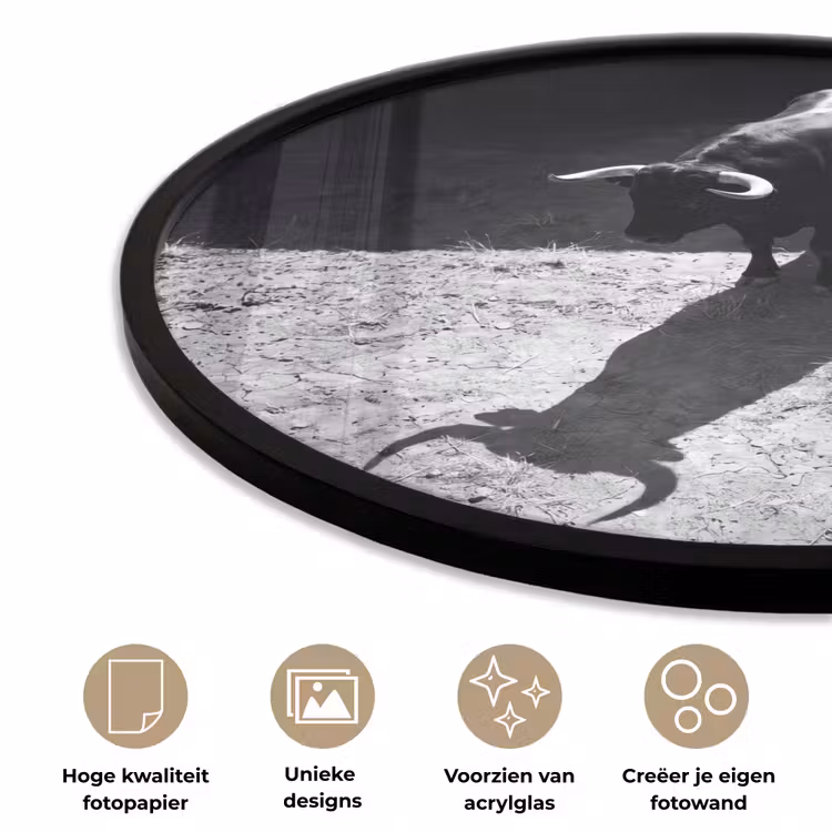 Stier - Schaduw - Dieren - Contrast - Zwart-wit Fotolijst rond zonder passe partout klein -closeup_NL