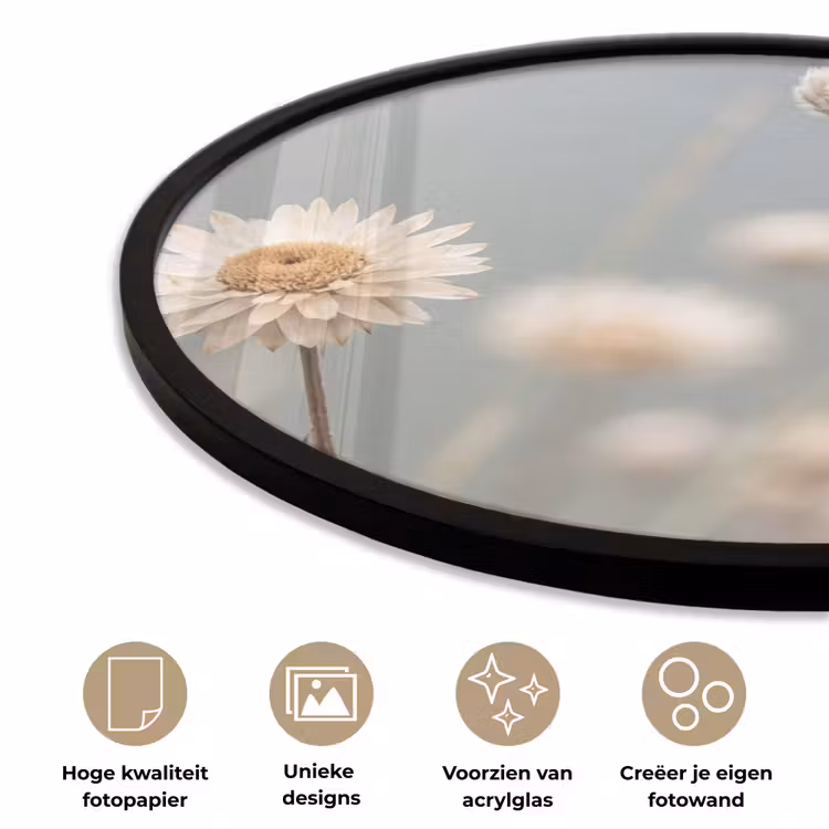 Strobloemen - Wit - Daglicht Fotolijst rond zonder passe partout klein -closeup_NL