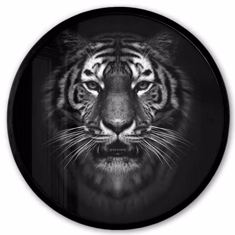 Tijger - Dieren - Zwart - Wit - Portret - Wild Fotolijst rond zonder passe partout klein -3d