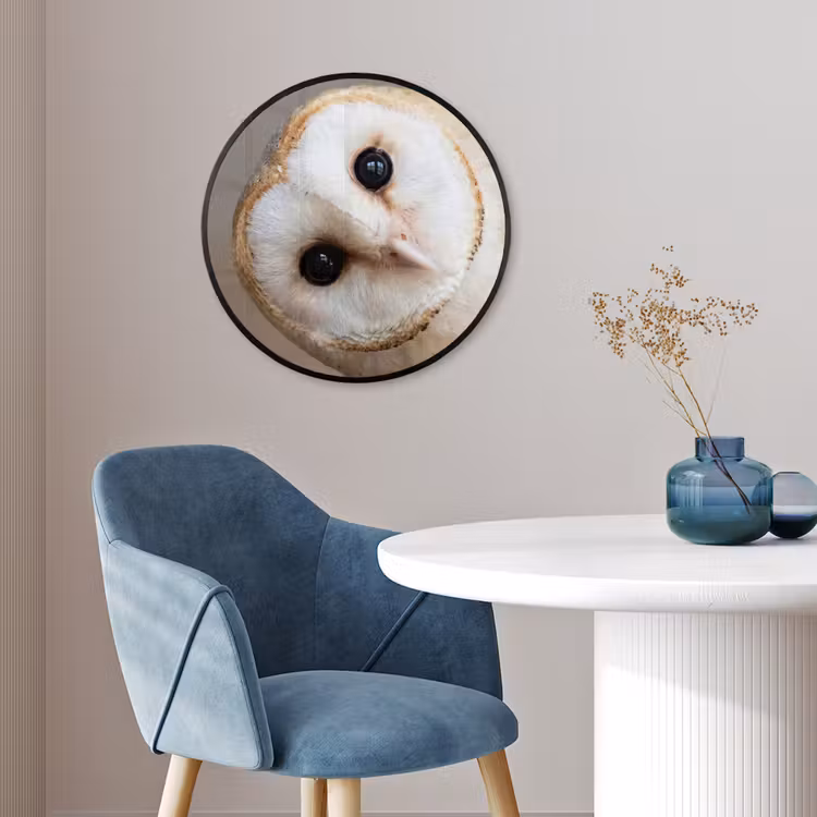 Uil - Bruin - Wit Fotolijst rond zonder passe partout klein -sfeer2