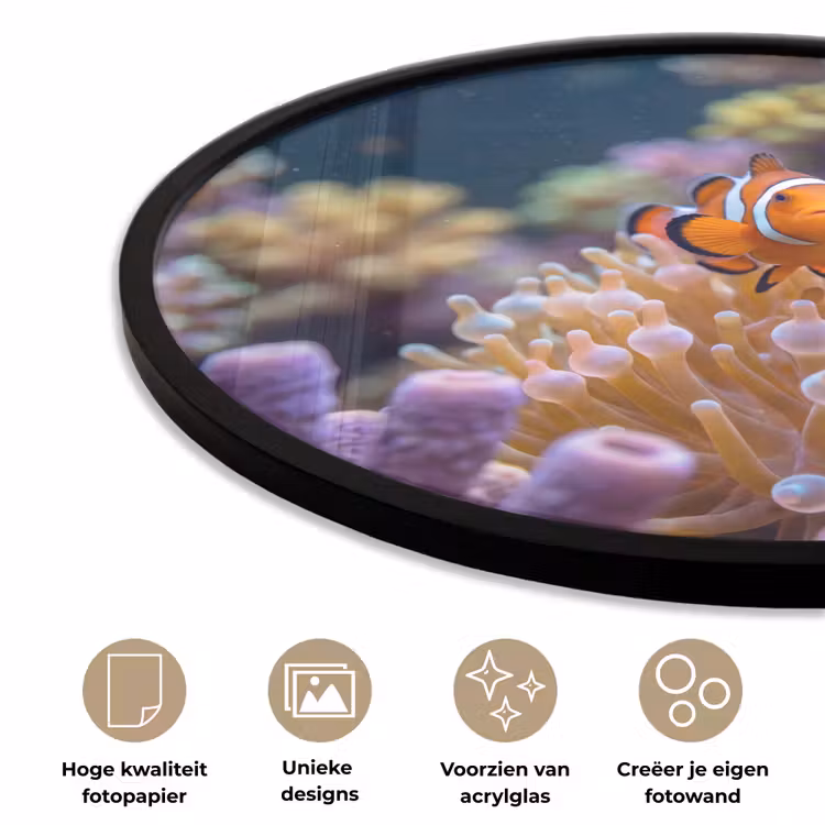 Vis - Koraal - Onderwater - Oranje - Dieren Fotolijst rond zonder passe partout klein -closeup_NL