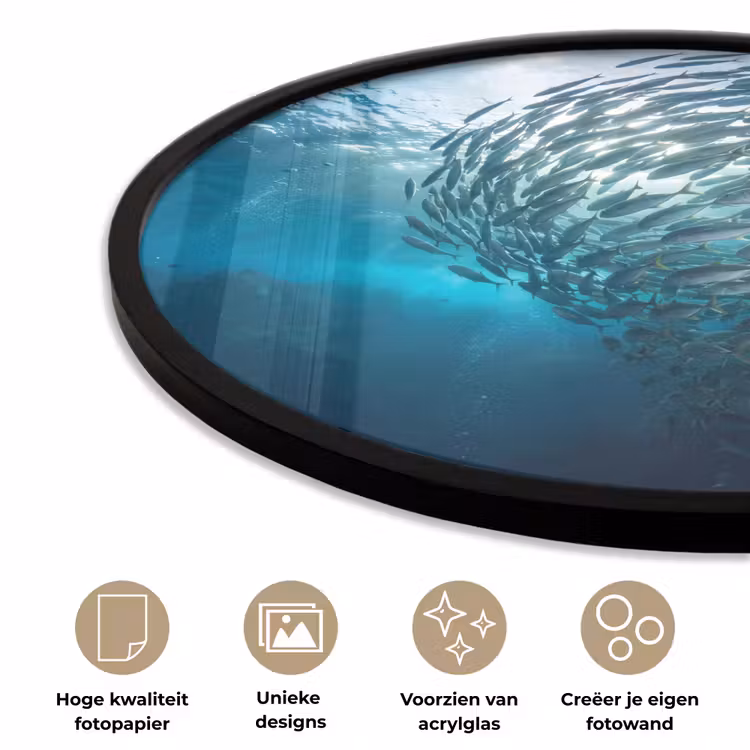 Vis - School - Oceaan - Natuur - Blauw Fotolijst rond zonder passe partout klein -closeup_NL