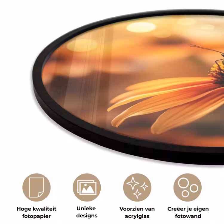 Vlinder - Bloemen - Oranje Fotolijst rond zonder passe partout klein -closeup_NL