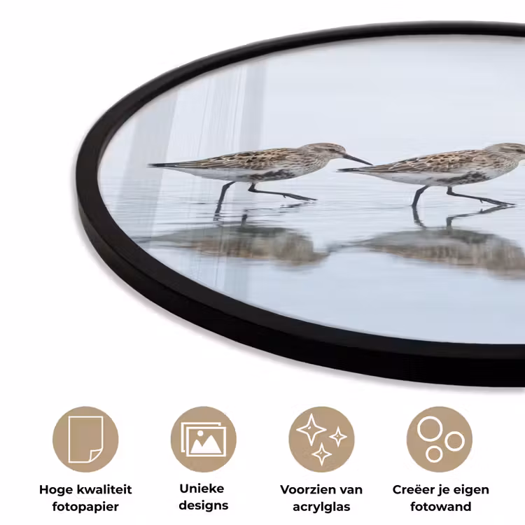 Vogels - Water - Grijs Fotolijst rond zonder passe partout klein -closeup_NL