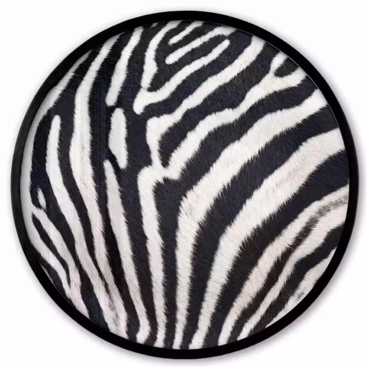Zebra - Vacht - Klassiek - Zwart - Wit Fotolijst rond zonder passe partout klein -3d