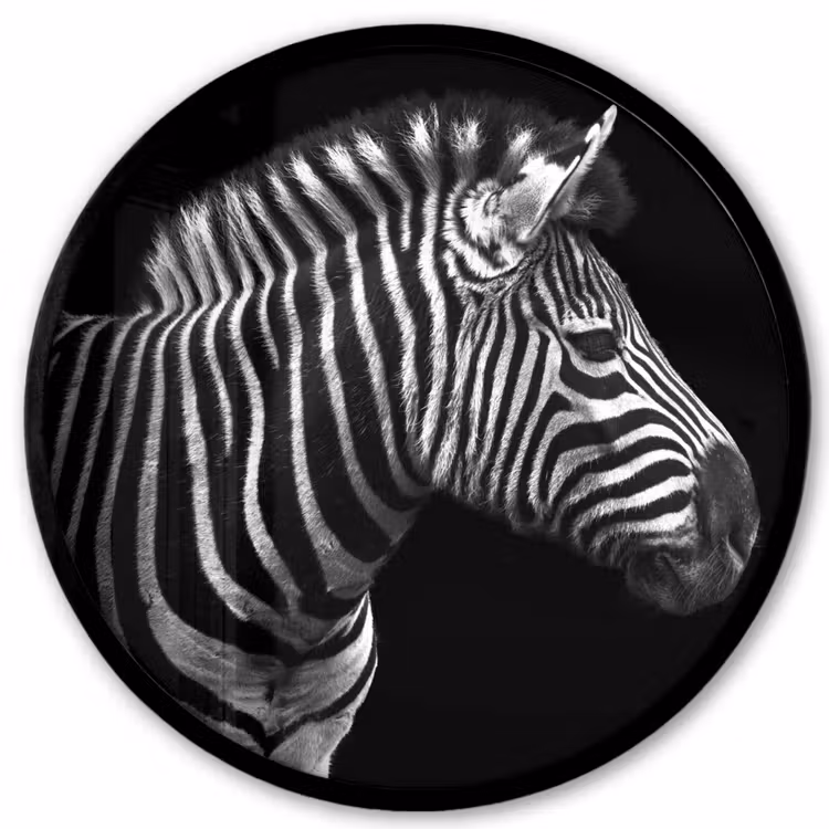 Zebra - Zwart - Wit - Portret - Dieren Fotolijst rond zonder passe partout klein -3d